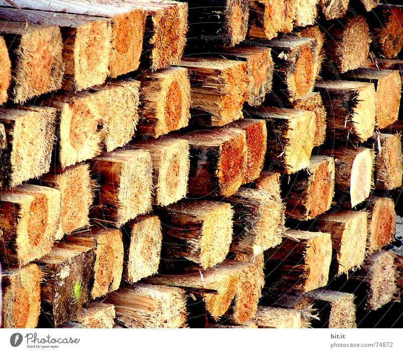 HOCHstapler Winter Baustelle Handwerk Umwelt Feuer Herbst Wärme Baum Holz eckig braun Kaminfeuer Brennholz Material Tanne heizen Jahreszeiten Holzstapel Stapel