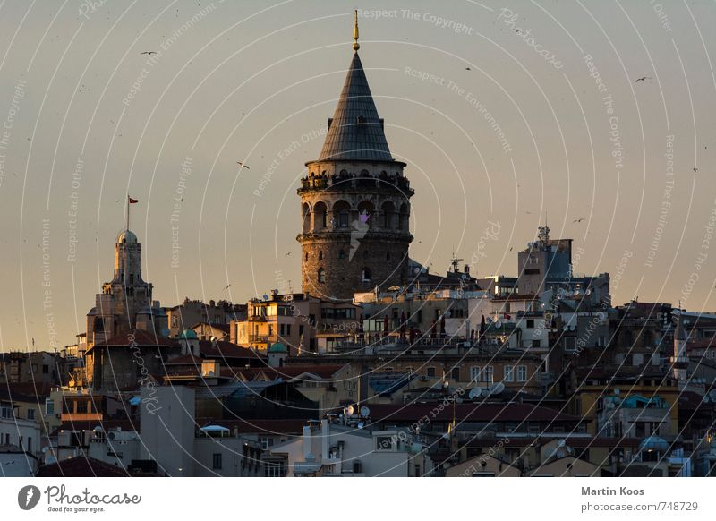 Istanbul Galataturm Hafenstadt Stadtzentrum Skyline Burg oder Schloss Turm Sehenswürdigkeit Wahrzeichen Galata-Brücke Galata kulesi ästhetisch historisch Wärme