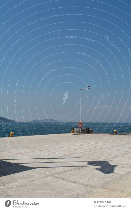 Fähranleger Ferien & Urlaub & Reisen Freiheit Kreuzfahrt Sommer Himmel Schönes Wetter Schifffahrt Bootsfahrt Hafen Wasserfahrzeug Fähre Tier Möwe blau grau