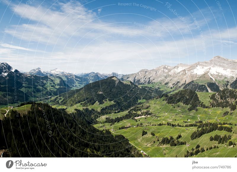 Pays-d'Enhaut Leben Zufriedenheit ruhig Abenteuer Freiheit Sommer Berge u. Gebirge Gleitschirmfliegen Natur Landschaft Urelemente Luft Himmel Frühling