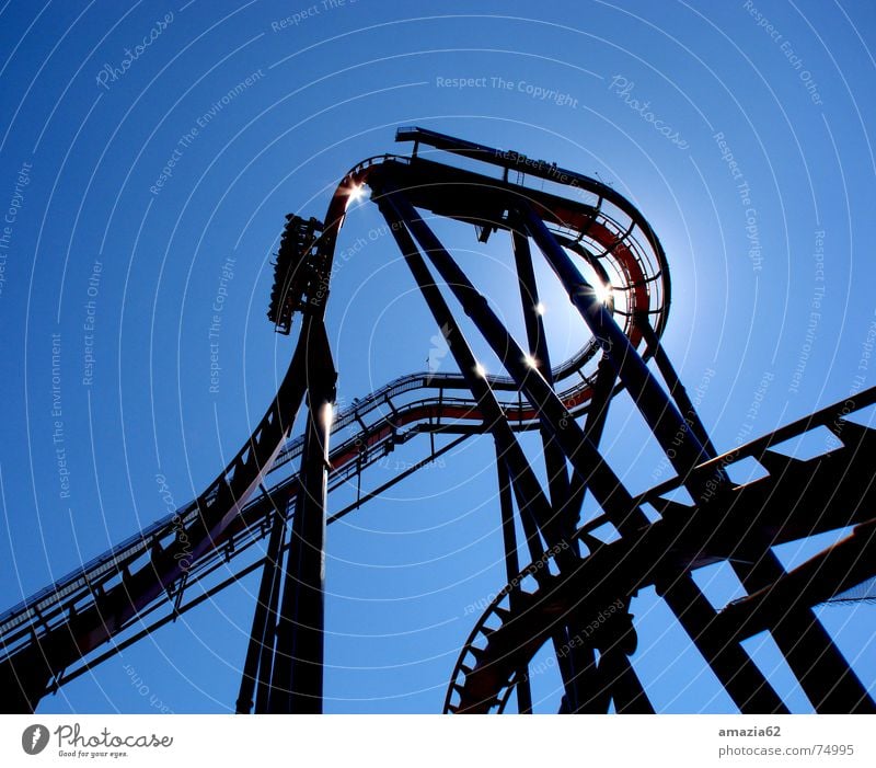 SheiKra Achterbahn Florida Aktion Licht rollercoaster Himmel blau schlangenförmig