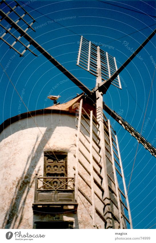 Holland meets Spain Windmühle Mühle Lanzarote Sommer Ferien & Urlaub & Reisen Spanien Möwe Himmel Flügel Blauer Himmel