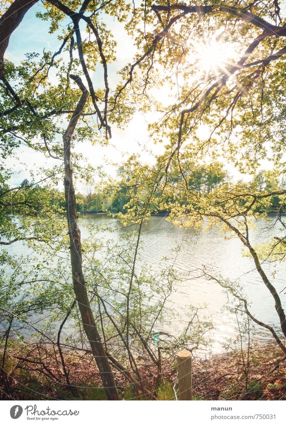 so mag ich das Ferien & Urlaub & Reisen Ausflug Umwelt Natur Landschaft Wasser Sonne Frühling Sommer Schönes Wetter Baum Sträucher Wildpflanze Wald Seeufer