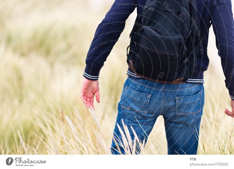 Dunewalker Mensch maskulin Junger Mann Jugendliche Erwachsene Rücken Arme Hand Gesäß 1 18-30 Jahre Umwelt Natur Pflanze Klima Wetter Gras Sträucher Wildpflanze