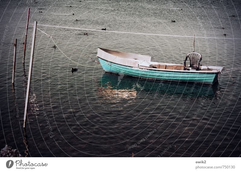 Blaupause Freizeit & Hobby Ferien & Urlaub & Reisen Freiheit Umwelt Natur Wasser Wetter Schönes Wetter See Ruderboot schaukeln Gelassenheit geduldig ruhig