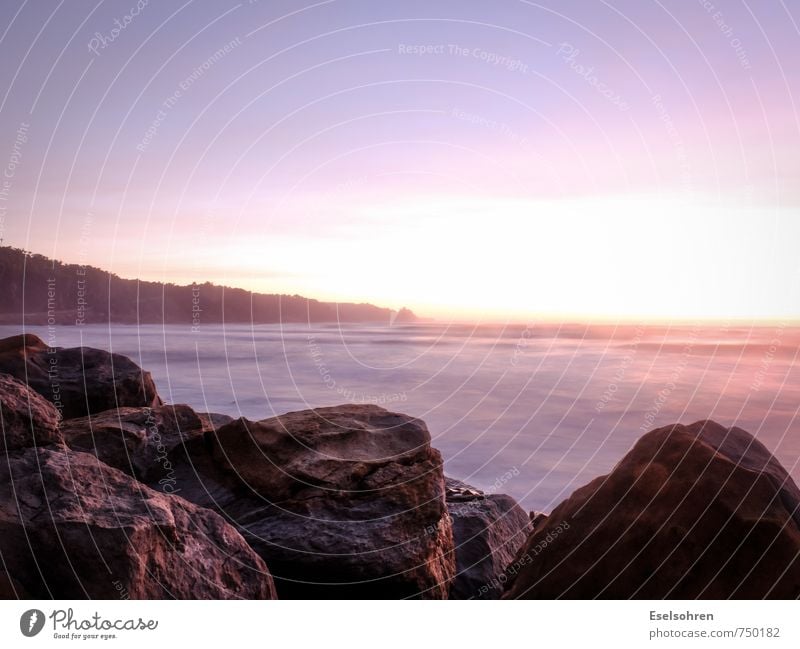 Punakaiki Natur Wasser Himmel Schönes Wetter Wellen Meer genießen warten Ferne frei Unendlichkeit gelb gold violett orange rosa ruhig Zufriedenheit Strand