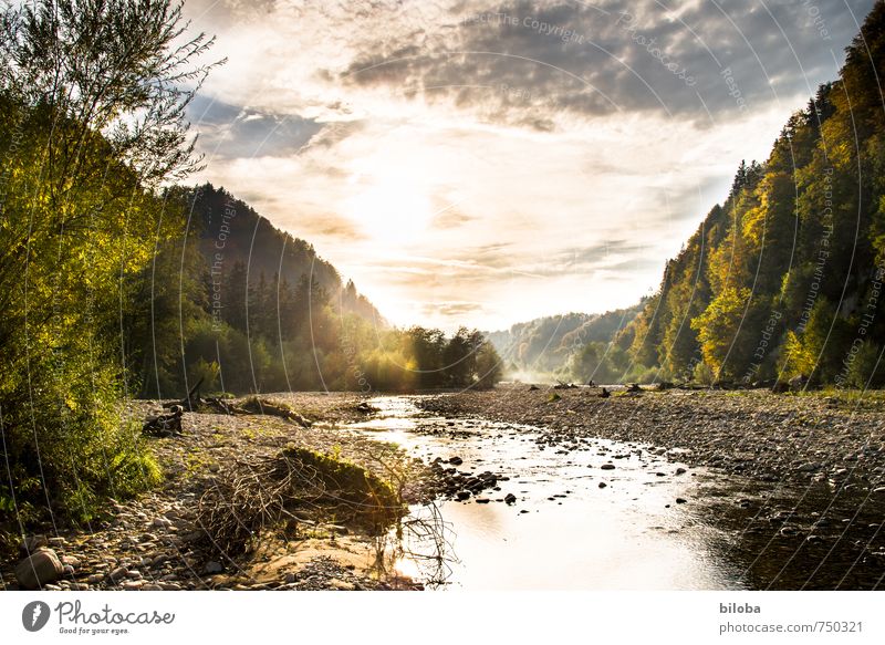 Wildwasserfluss im goldenen Abendlicht Fluss Wasser Sonnenlicht Natur Stille Erholung Bach Wildbach Bachbett Landschaft Gegenlicht Sense Sensegraben