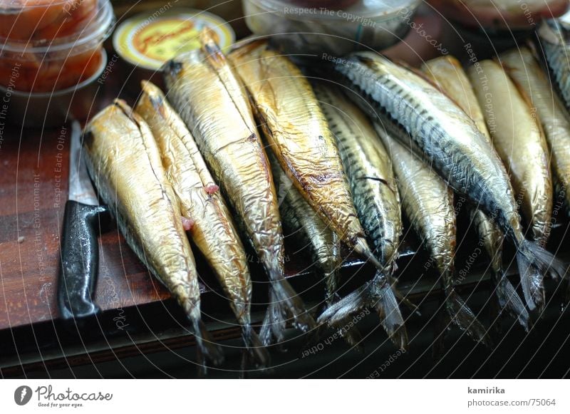 fisch fromm froehlich Israel Jerusalem Fleisch Mahlzeit Markt Ernährung meal eat denieren schneidbrett Fisch Essen zubereiten