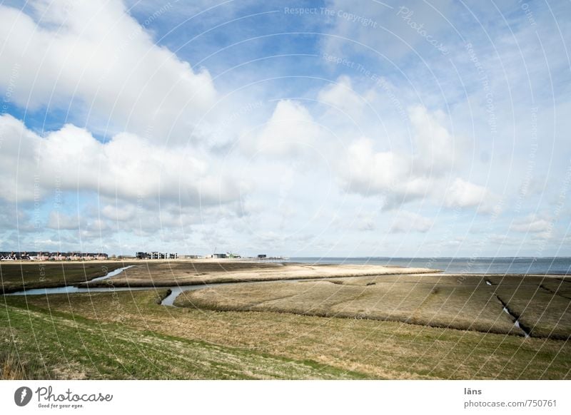 Rømø | weites Land Ferien & Urlaub & Reisen Tourismus Ausflug Ferne Freiheit Meer Umwelt Natur Landschaft Erde Sand Wasser Himmel Wolken Frühling Gras Wiese