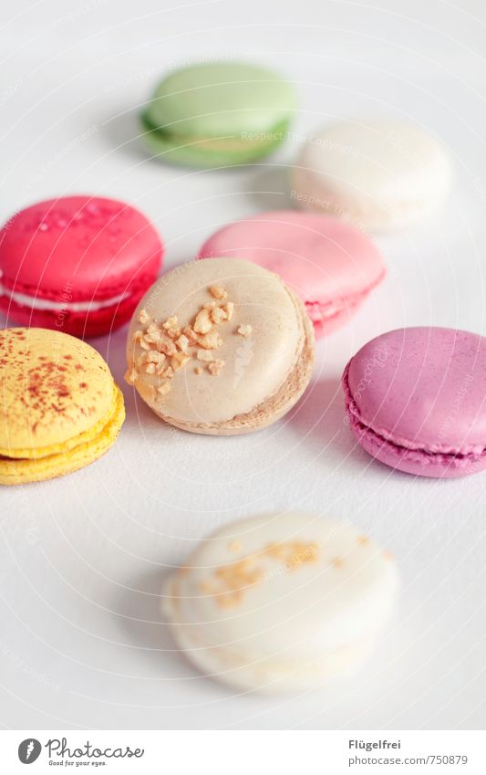 Bunte Kalorienbomben Ernährung süß Macarons Krokant ungesund lecker Süßwaren gelb rosa Pastellton Tischwäsche Füllung Backwaren Kuchen Baiser Farbfoto