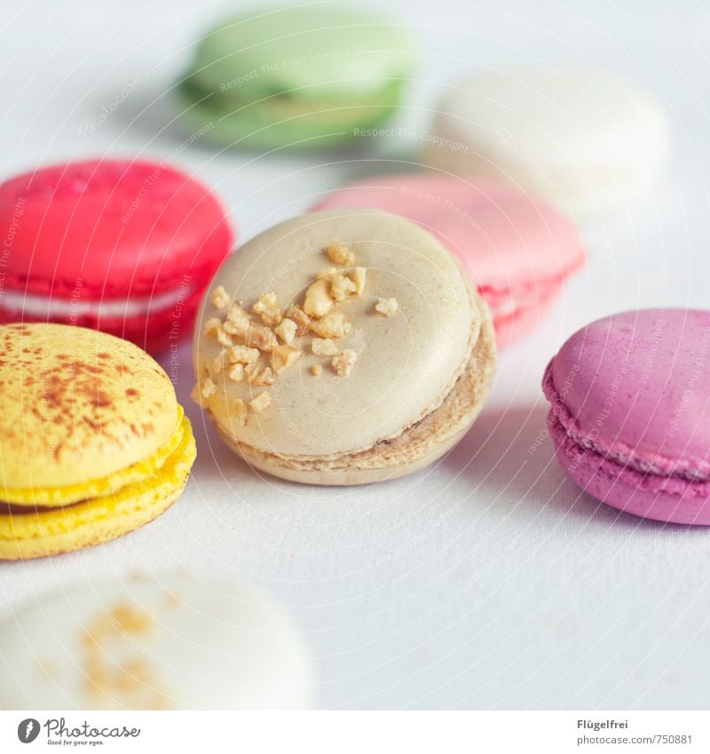 Bunte Kalorienbomben 2 Ernährung süß Macarons Backwaren Baiser Krokant Streusel Pastellton Süßwaren Kuchen Farbe Farbfoto Innenaufnahme Textfreiraum unten Tag