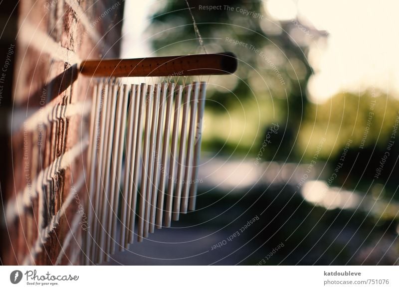 1 Natur Garten Bauwerk Gebäude Mauer Wand hören Gefühle Klang Musiker Geräusch Ton Glockenspiel Windspiel Farbfoto Außenaufnahme Unschärfe