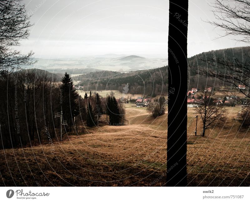 Lausitzer Bergland Ferien & Urlaub & Reisen Tourismus Ausflug Ferne Umwelt Natur Landschaft Pflanze Himmel Wolken Horizont Schönes Wetter Baum Gras Baumstamm