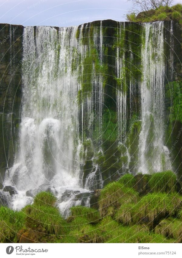 lebenselixir Wasserfall grün Gras Brasilien Südamerika Argentinien Iguazu Fälle Leben foz argentina water