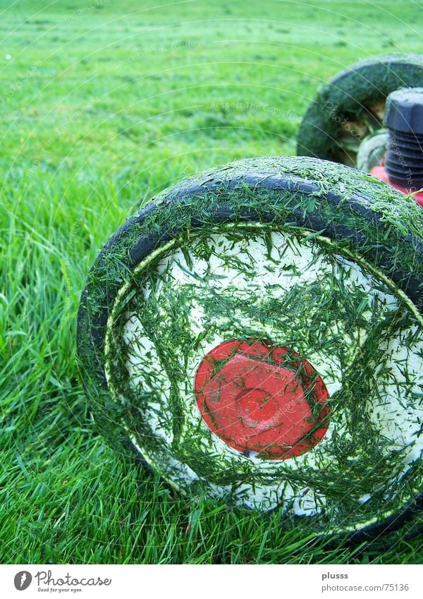 abgrasen2 Rasenmäher Gras Wiese grün rot Arbeit & Erwerbstätigkeit intensiv Halm fahren Fußballplatz saftig satt nass Ergebnis Reifen Motor geschnitten zupfen