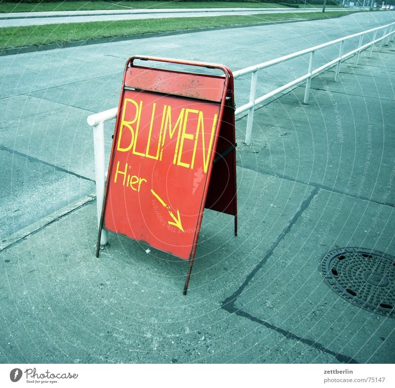 Blumen Plakat Poster Hinweisschild Werbung rot gelb grün violett grau schwarz weiß leer Mittelstreifen Seitenstreifen Gully Bürgersteig Schilder & Markierungen