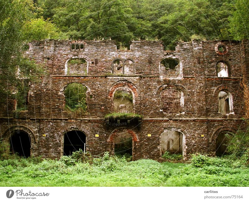 Alte Brauerei an der Mosel Fassade Ruine verfallen baufällig historisch Bogen Balkon fensteröffnungen alt die natur erobert alles zurück Gebäude Verfall