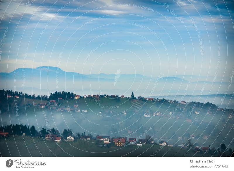 Südsteiermark im Nebel Umwelt Natur Wolken Herbst schlechtes Wetter Regen Pflanze Baum Gras Sträucher Hügel Kleinstadt Menschenleer Haus Erholung träumen