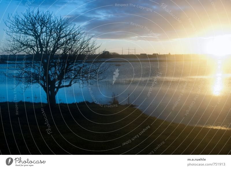 the great escape Umwelt Natur Landschaft Pflanze Luft Wasser Himmel Wolken Horizont Sonne Sonnenaufgang Sonnenuntergang Sonnenlicht Winter Klima Schönes Wetter