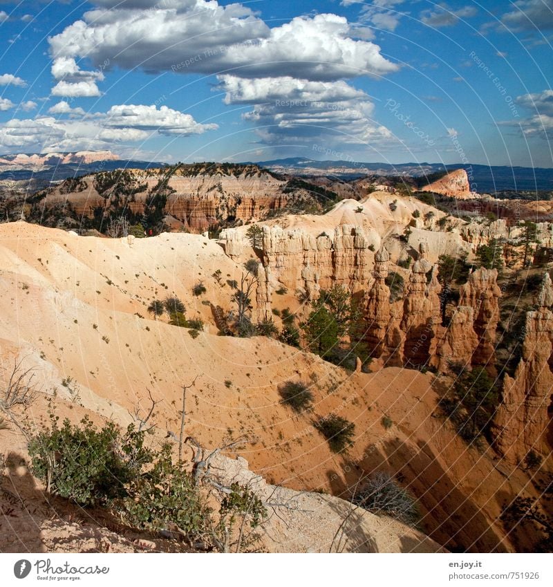 Wege und Pfade Ferien & Urlaub & Reisen Abenteuer Ferne Freiheit wandern 2 Mensch Natur Landschaft Himmel Wolken Horizont Klima Klimawandel Sträucher Felsen