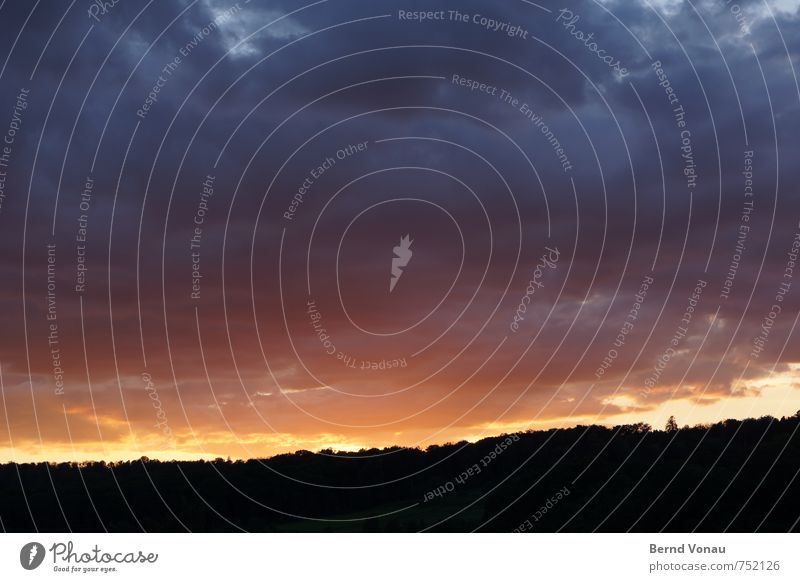drama Umwelt Natur Wald Hügel bedrohlich schön blau violett rot orange schwarz Wolken Horizont Baum bedeckt Wetter Farbfoto Außenaufnahme Menschenleer