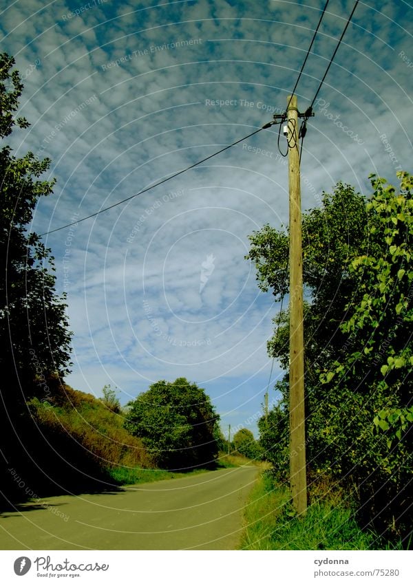 Der Weg ist das Ziel Oberleitung Elektrizität Aktion Baum grün Altokumulus floccus Verkehrswege Sommer Strommast weiterleitung Straße Wege & Pfade Ausflug Natur