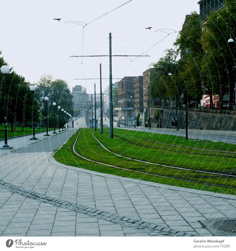 Es geht bergab. Gleise Gras abwärts Laterne Bürgersteig Straßenbahn Fluchtpunkt Oslo September Baum Haus Stadt Rasen grrün Stein