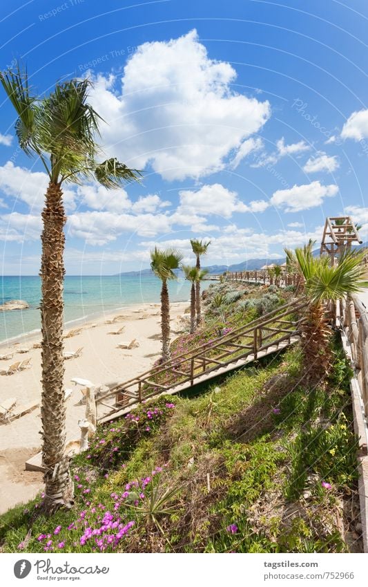 STRAND VON CHERSONISSOS Kreta Griechenland Chersonissos Hersonissou Palme Ferien & Urlaub & Reisen Reisefotografie Idylle Postkarte Tourismus Sonnenstrahlen