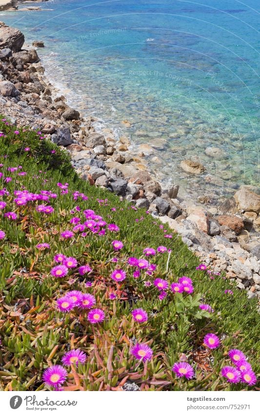 SPRING Kreta Griechenland Chersonissos Hersonissou Ferien & Urlaub & Reisen Idylle Postkarte Reisefotografie Sonnenstrahlen Sommer himmlisch paradiesisch Natur