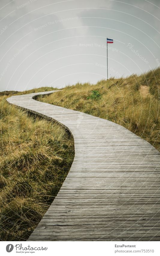 Nordfriesland Erholung ruhig Ferien & Urlaub & Reisen Tourismus Ausflug Freiheit wandern Umwelt Natur Landschaft Himmel Frühling Sommer Herbst Wetter