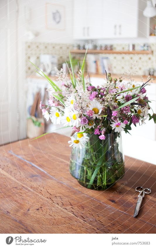 blumenstrauß Häusliches Leben Wohnung Innenarchitektur Dekoration & Verzierung Tisch Küche Pflanze Blume Blatt Blüte Wildpflanze Schere Vase ästhetisch