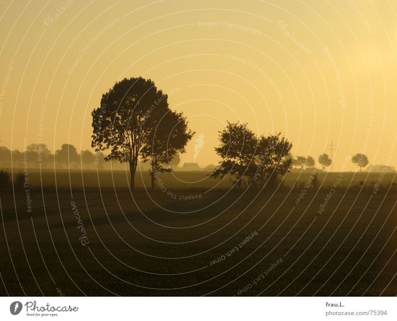 Herbstmorgen Degersen Sonne Natur Landschaft Himmel Horizont Nebel Baum Sträucher Feld Dorf Straße Wege & Pfade gold Niedersachsen Himmelskörper & Weltall