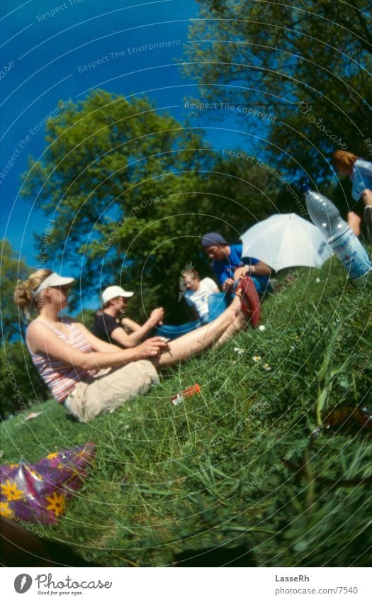 Schlosspark Gelage Sommer Wiese Erholung Gras grün schön Makroaufnahme Nahaufnahme Sonne