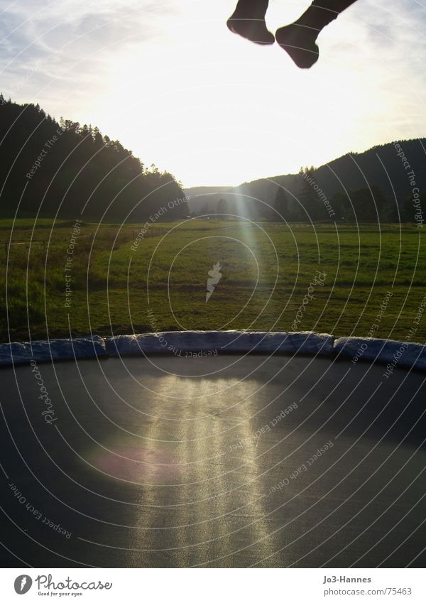 Abflug II springen hüpfen Trampolin Unterleib Hose Strümpfe Schwarzwald Wald Wiese Abendsonne Athlet Leben abgehoben Abheben sprungtuch Beine Fuß Sonne Kraft