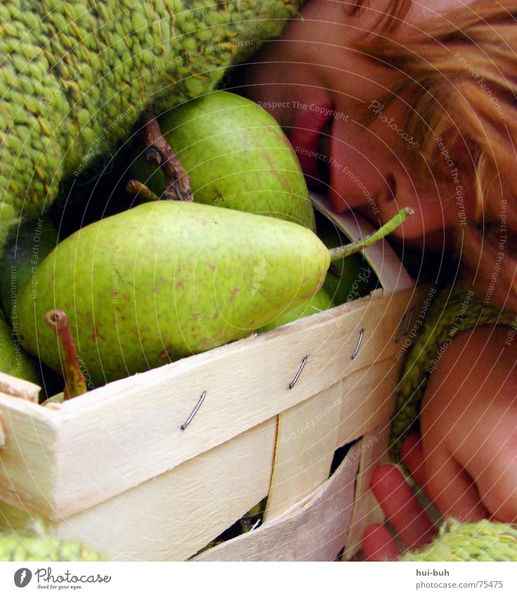 Birnenkörbchen grün Korb Sammlung Pullover Heftklammerer Loch stricken gestrickt süß niedlich groß Rettung lecker Schutz Retter Stengel essbar Baum Tier Ernte