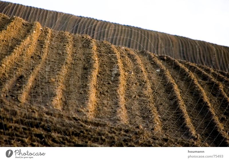 streifen IM feld Pflug Herbst Landwirtschaft braun Hügel Streifen Feld plow hills Landschaft Erde field earth brown