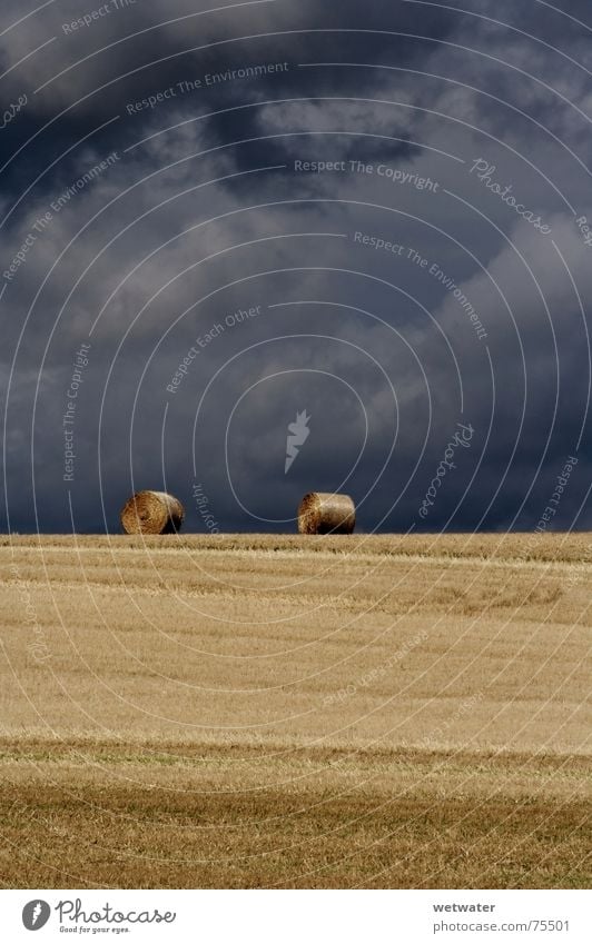 Two Haybales Feld Kraichgau Natur Wolken Sommer Himmel Landschaft bails Bauernhof farming field grain hay rural straw August sky dark weather cloudy clouds gold