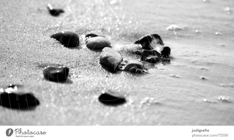 Steine See mehrere Meer Strand Verschiedenheit nass glänzend schwarz viele Sand Wasser Ostsee