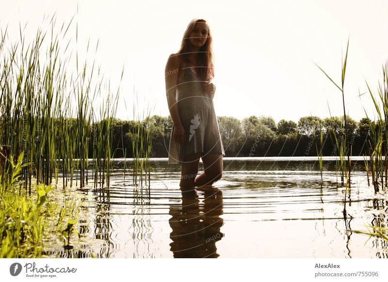 Seenixe Ausflug Abenteuer Sommer Strand Wellen Junge Frau Jugendliche Körper 18-30 Jahre Erwachsene Natur Wasser Seeufer Kleid blond langhaarig Blick stehen