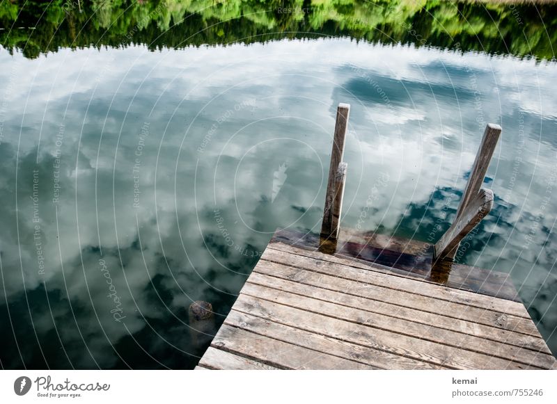 Im See sehen Ferien & Urlaub & Reisen Ausflug Sommerurlaub Umwelt Natur Landschaft Urelemente Wasser Himmel Wolken Sonnenlicht Schönes Wetter Sträucher Wald