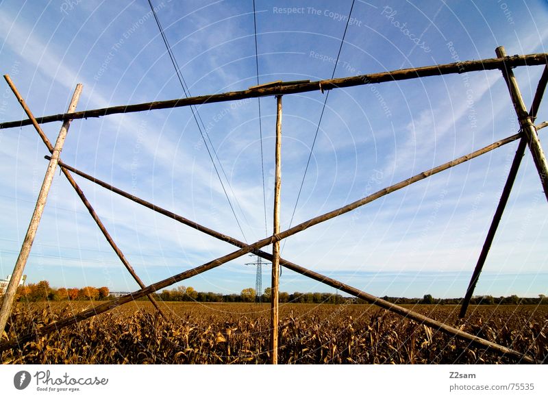 Herbstfeld Feld Himmel Elektrizität Holz Pfosten Landwirtschaft gelb Sonne sun sky blue blau Seil gestänge Baugerüst Mais Ackerbau