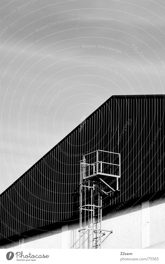 notausgang Notausgang Feuerleiter Holz Holzdach Dach Haus Fabrik Treppe Geländer Leiter Industriefotografie industrial