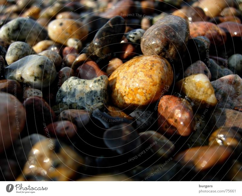 Die bunten Kiesel von Porto Kieselsteine mehrfarbig rot braun weiß schwarz Strand Korsika Meer glänzend nass scheckig Außenaufnahme orange Stein Bodenbelag