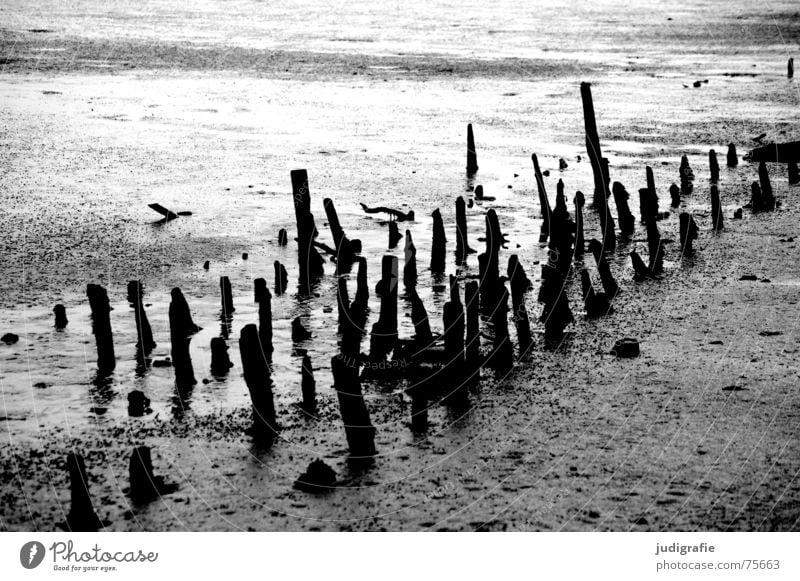 Ebbe Gezeiten Wattenmeer grau trist Schlamm Holz schwarz weiß dunkel Nordsee Pfosten verwittert verwitterung alt Strukturen & Formen Linie