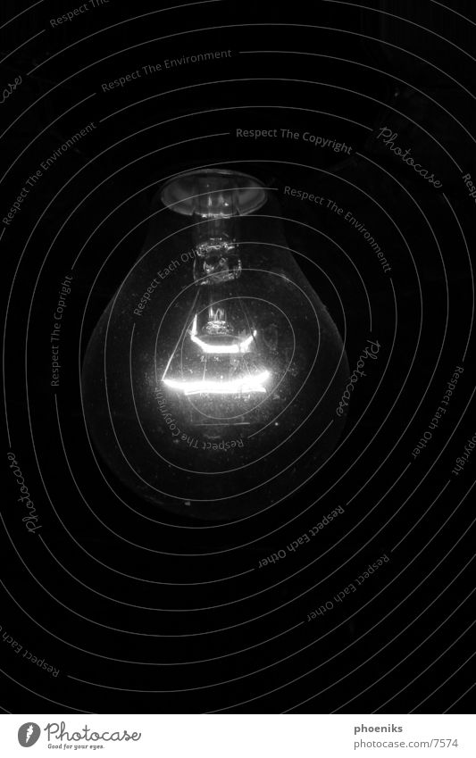 Gluebirne Bei Nacht dunkel Licht Lampe Glühbirne schwarz Makroaufnahme Nahaufnahme Glas hell