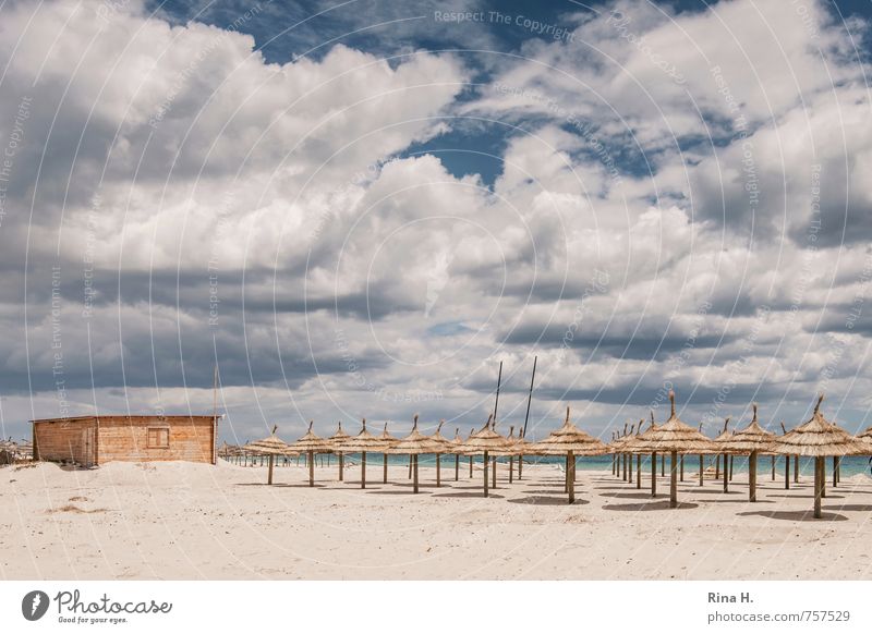 VorSaison V Erholung Ferien & Urlaub & Reisen Tourismus Sommerurlaub Sonne Strand Meer Himmel Wolken Frühling Schönes Wetter Holzhütte Sonnenschirm Nebensaison