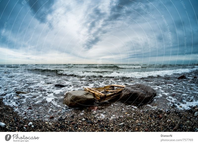 Strandgut Umwelt Natur Wasser Himmel Wolken Horizont Ostsee Meer blau schwarz weiß Stein Wellen Mecklenburg-Vorpommern Farbfoto Außenaufnahme Menschenleer