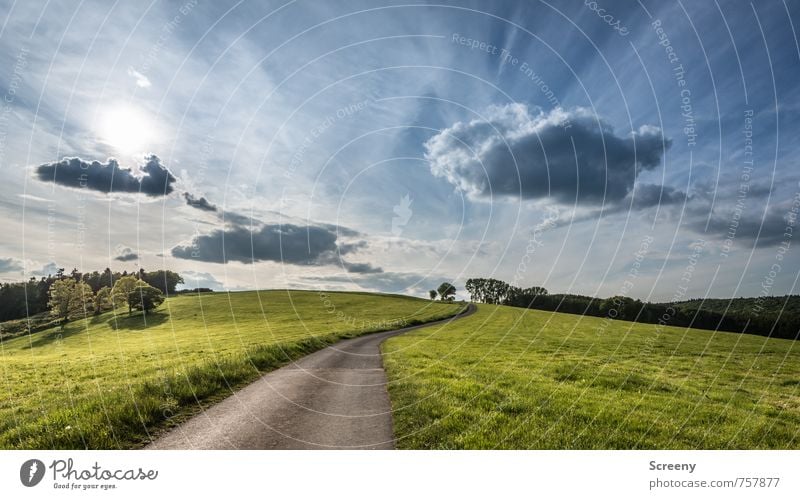 In die Ferne... Natur Landschaft Pflanze Himmel Wolken Sonne Sonnenlicht Frühling Sommer Schönes Wetter Gras Wiese Feld Hügel Eifel Straße Wege & Pfade fahren