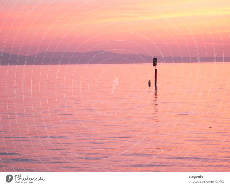 abendstimmung in rosa Sonnenuntergang Naturphänomene Romantik rot träumen Erholung Außenaufnahme Landschaft Wasser Bodensee Abend Himmel Berge u. Gebirge