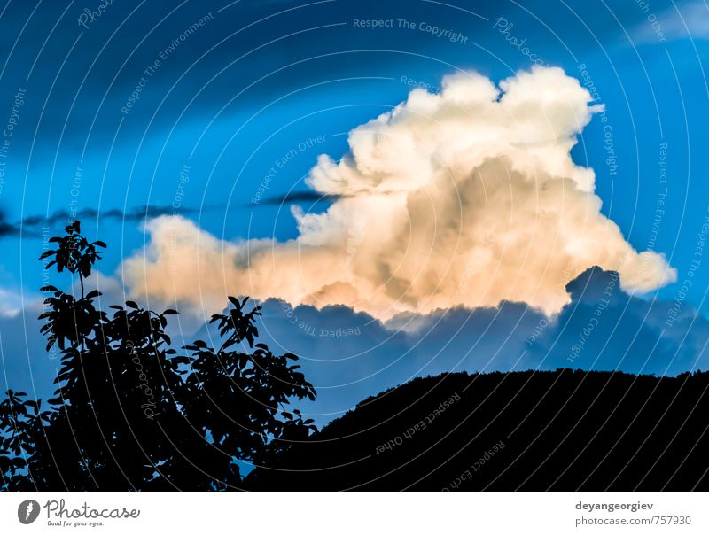 Dramatische Wolken und tiefblauer Himmel schön Sommer Natur Luft Horizont Klima Wetter Unwetter dunkel hell weiß Stimmung dramatisch Hintergrund Wasser